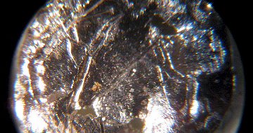 Americium-241