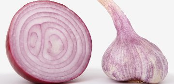 Garlic - rich in sulfur compounds