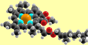 chlorophyll