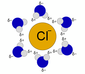 chloride-water-first-solvation-shell