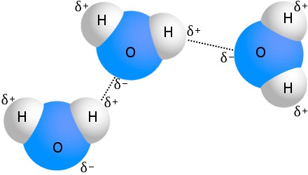 Hydrogen Bonding