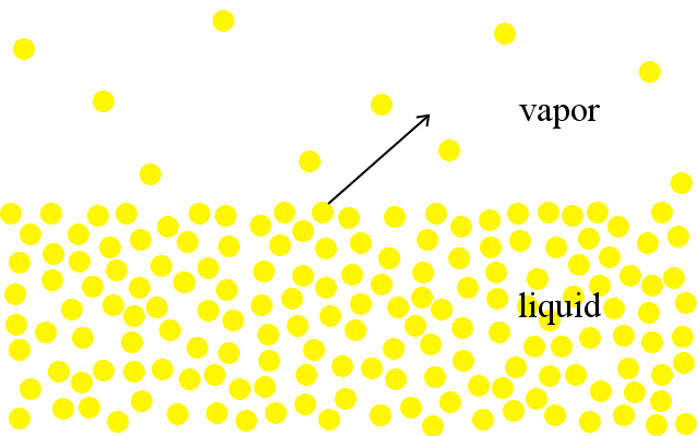 liquid-vapor phase