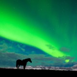 northern lights